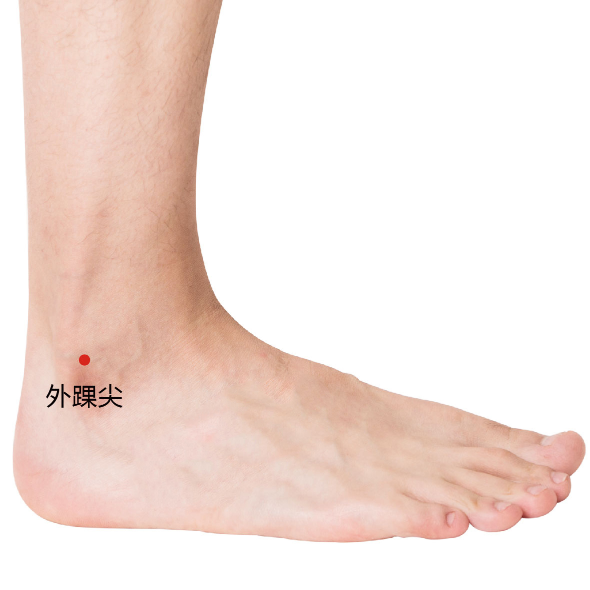 外踝尖