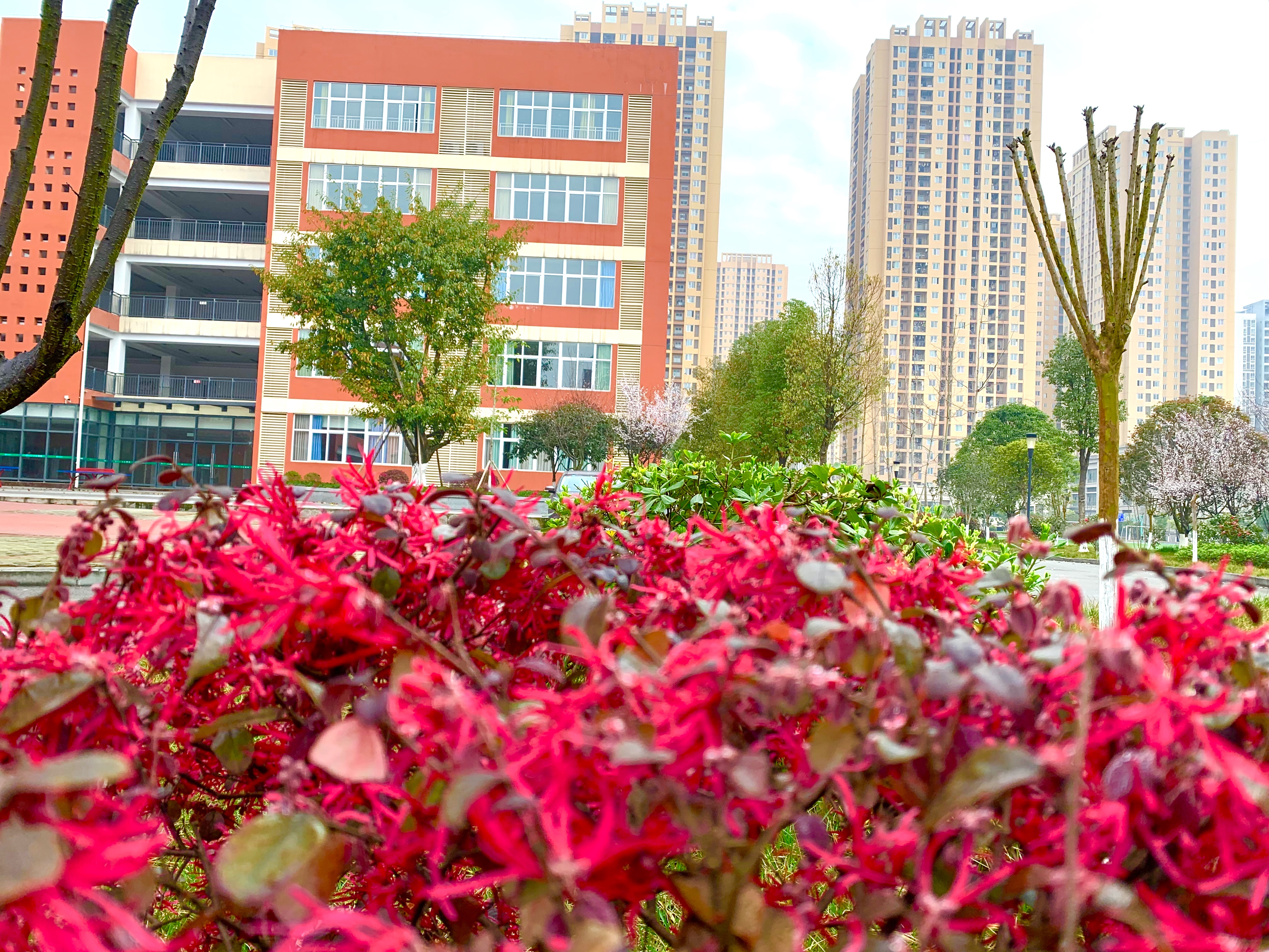 重庆市沙坪坝区学府悦园第一小学校