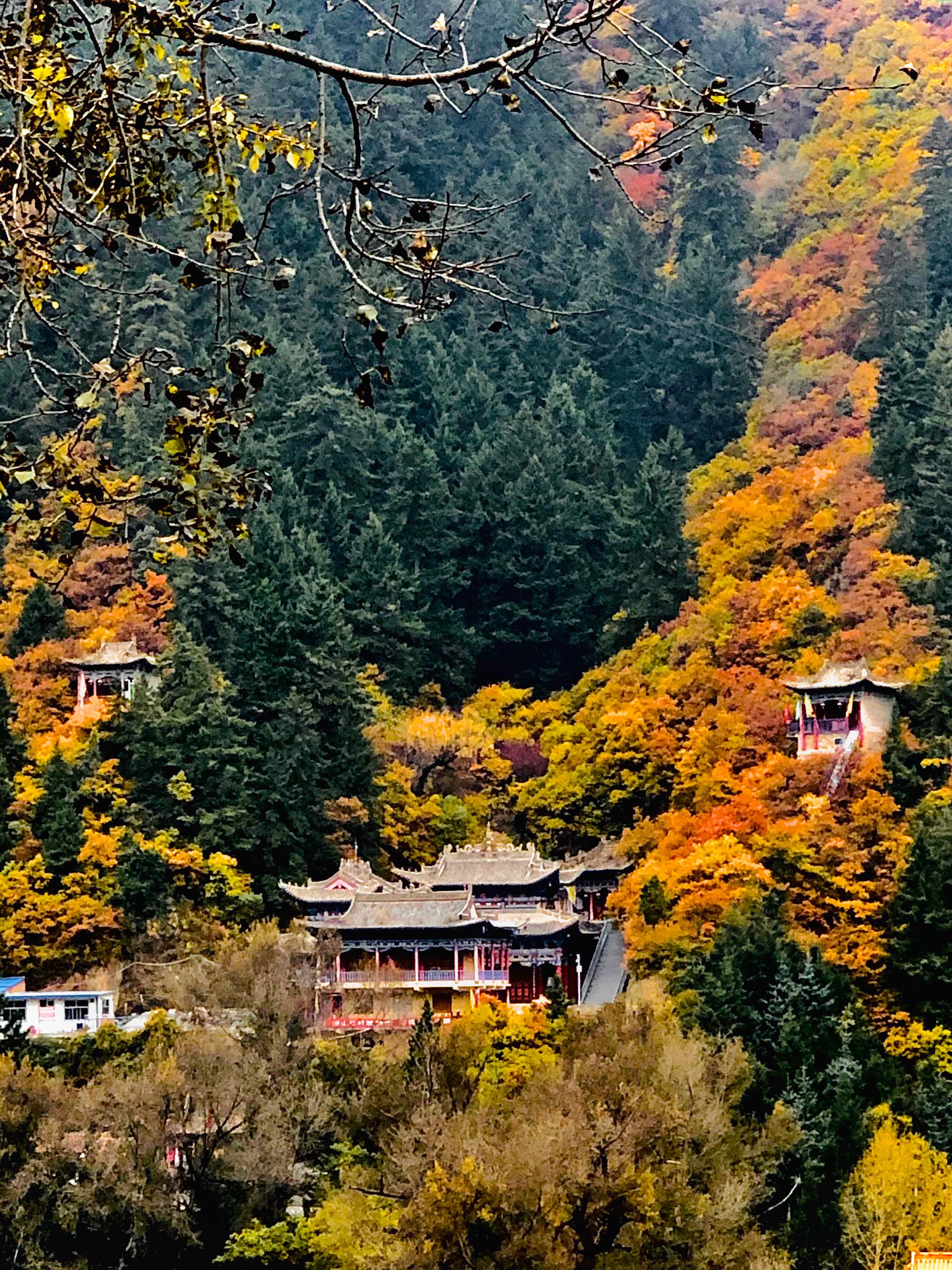 兴隆山国家级自然保护区