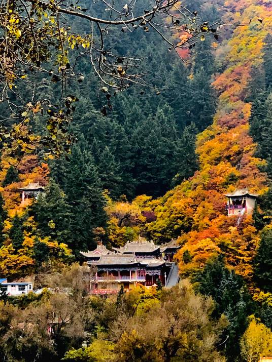 兴隆山国家级自然保护区_百度百科