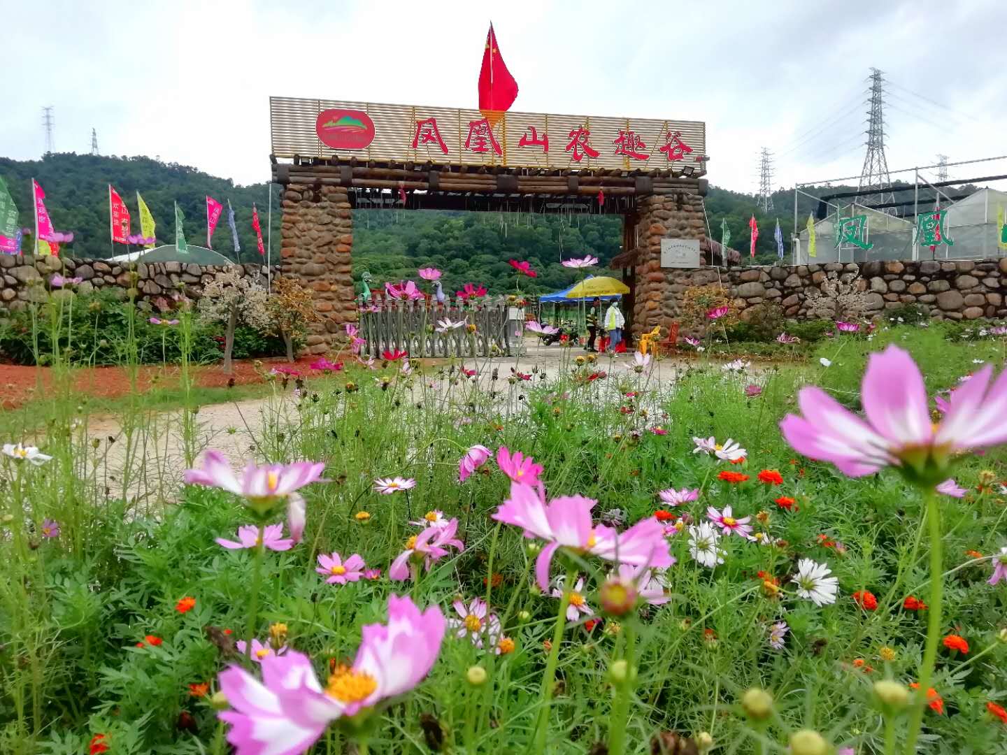  p data-id="gnbpp8kzxv">凤凰山农趣谷坐落于深圳市 a target="