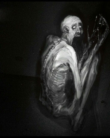 关于成为一位scp的这档事