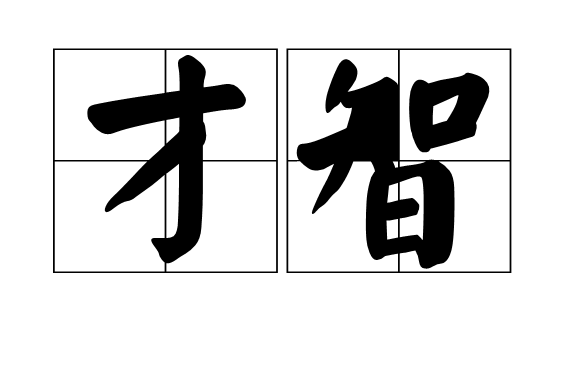 才智