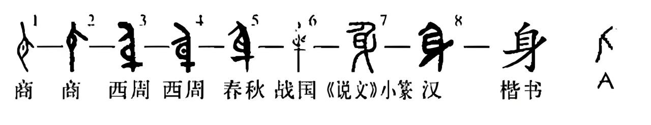 身_百度百科