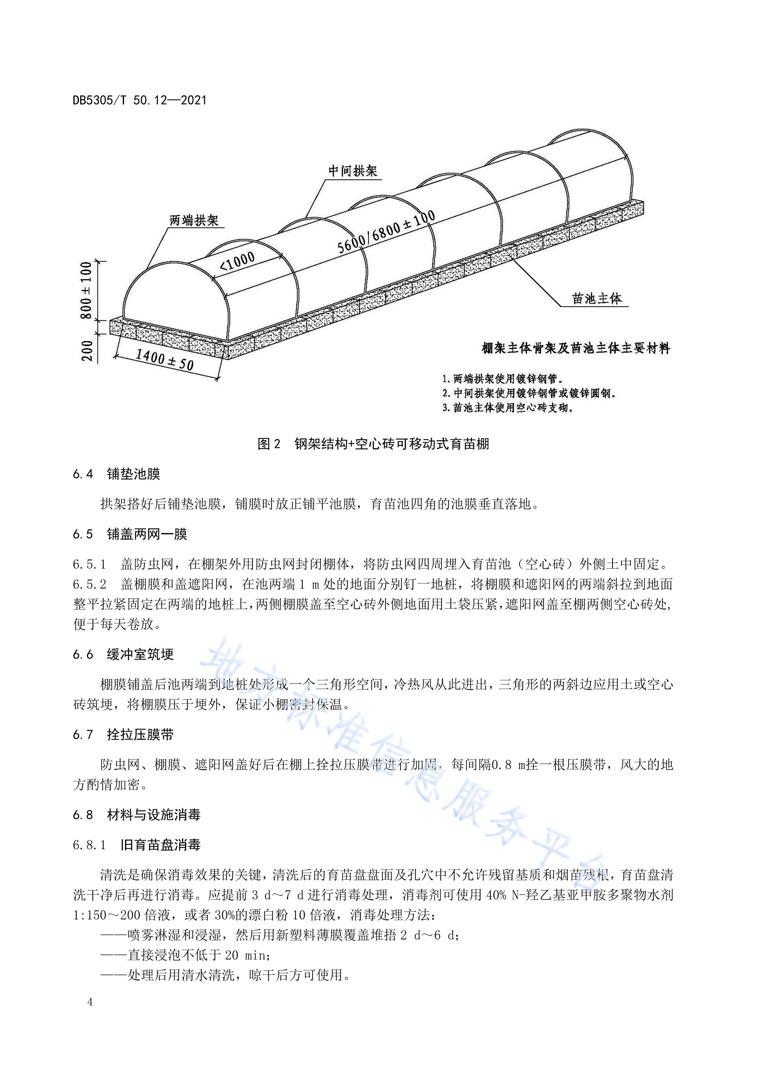 保山烤烟—第12部分:漂浮育苗