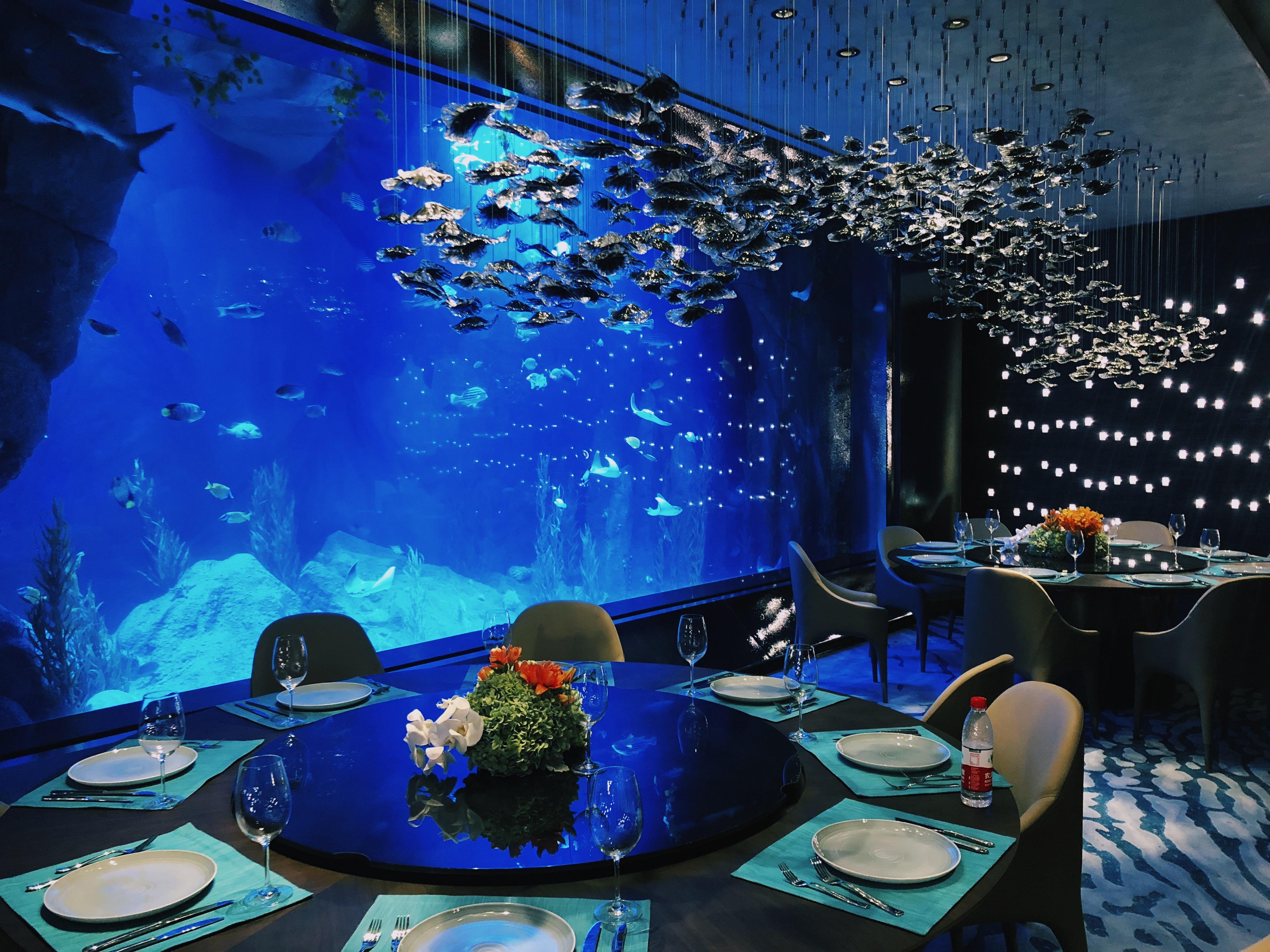 上海蓝湖水族工程有限公司