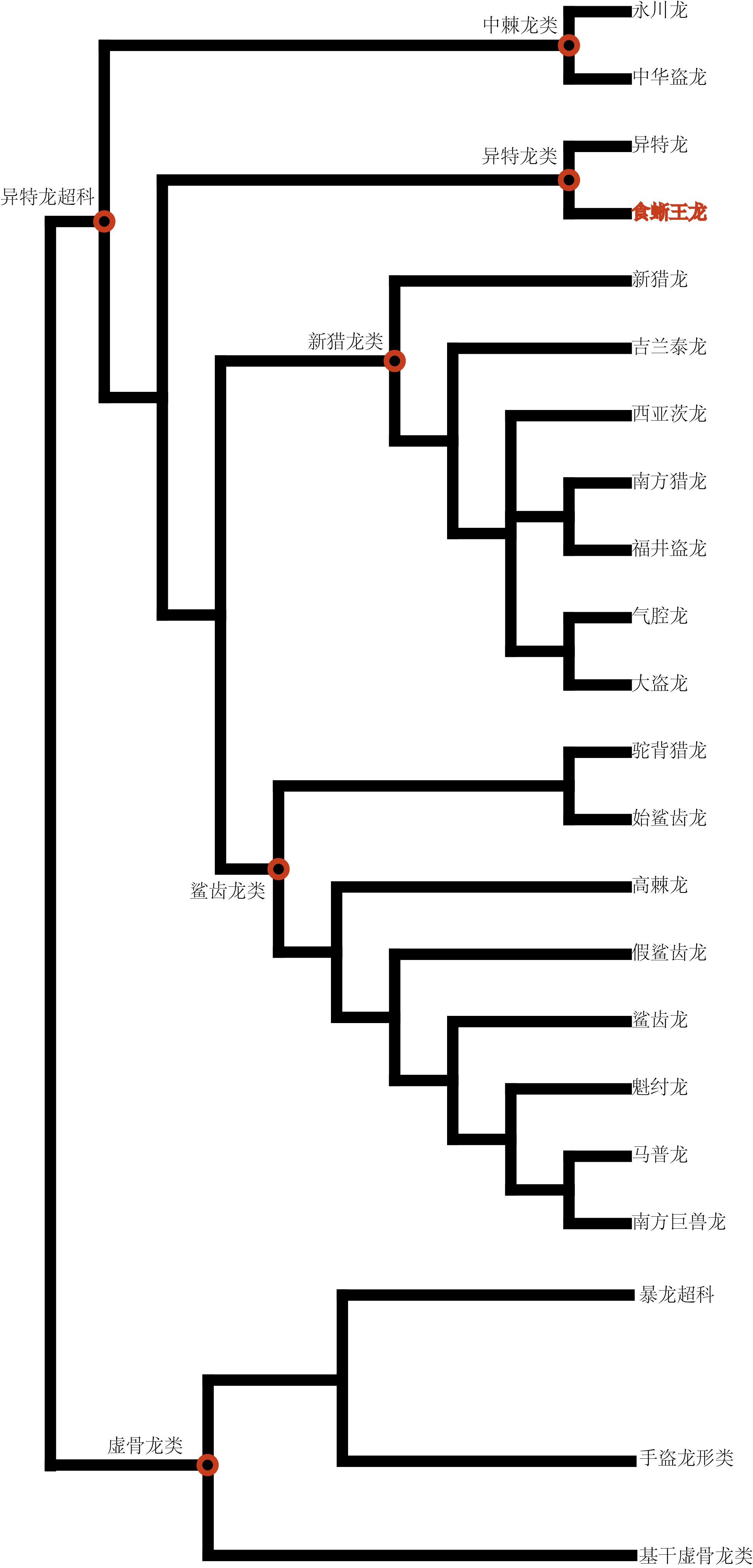  p data-id="go0aokpmhm">食蜥王龙是发现于北美洲晚侏罗世莫里逊组的