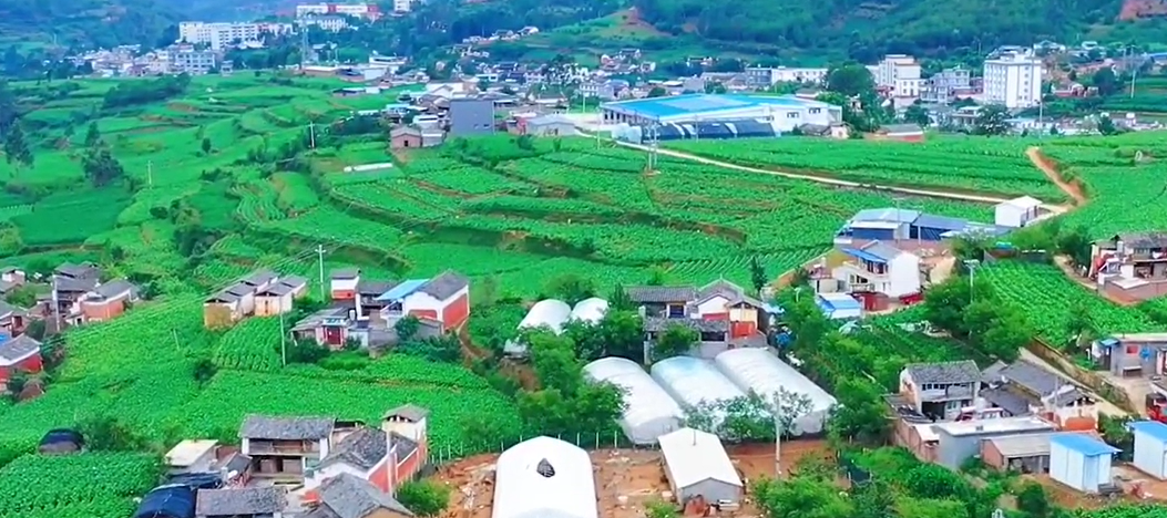  p>宝华镇,隶属于云南省大理白族自治州南涧彝族自治县,地处 a target