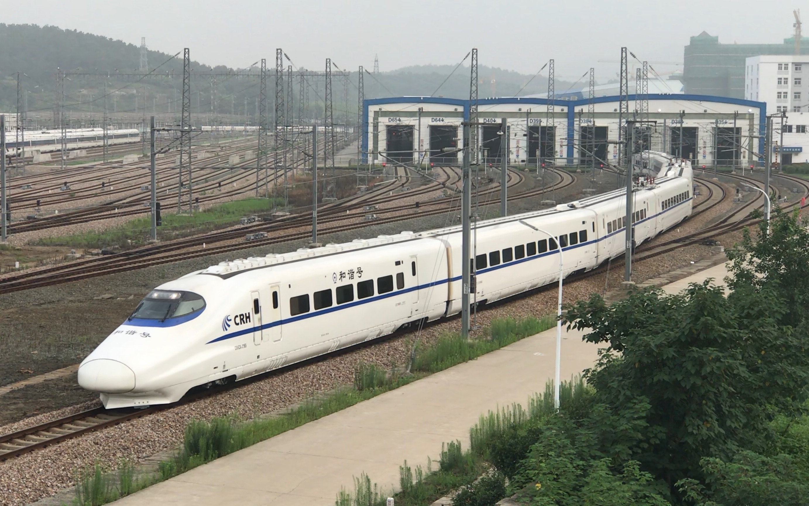 ="swhbv8cuwmic">d2916/d2913次是从青岛开往上海虹桥的高速动车车次