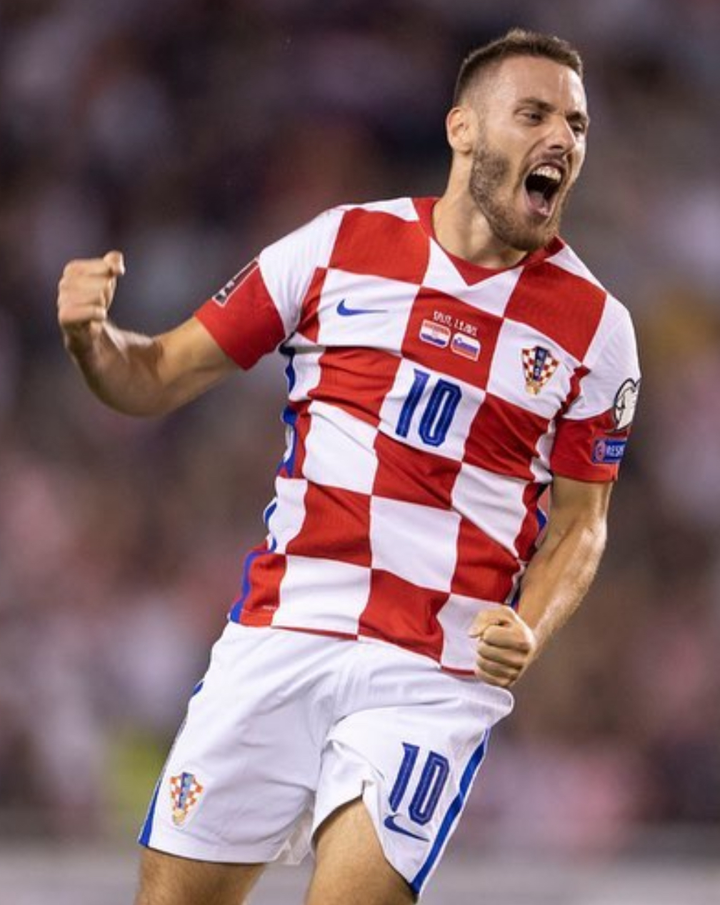 尼古拉·弗拉希奇