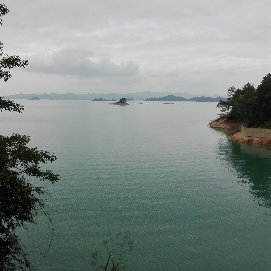 河源东源县 全网资源