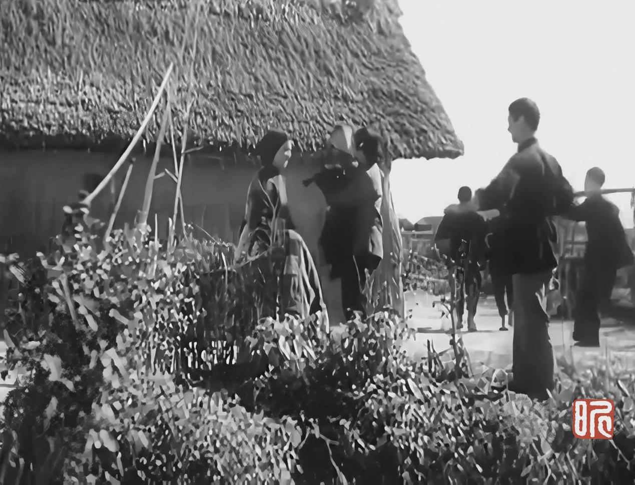 《红色的种子》是由 a target="_blank" href="/item/上海电影制片厂