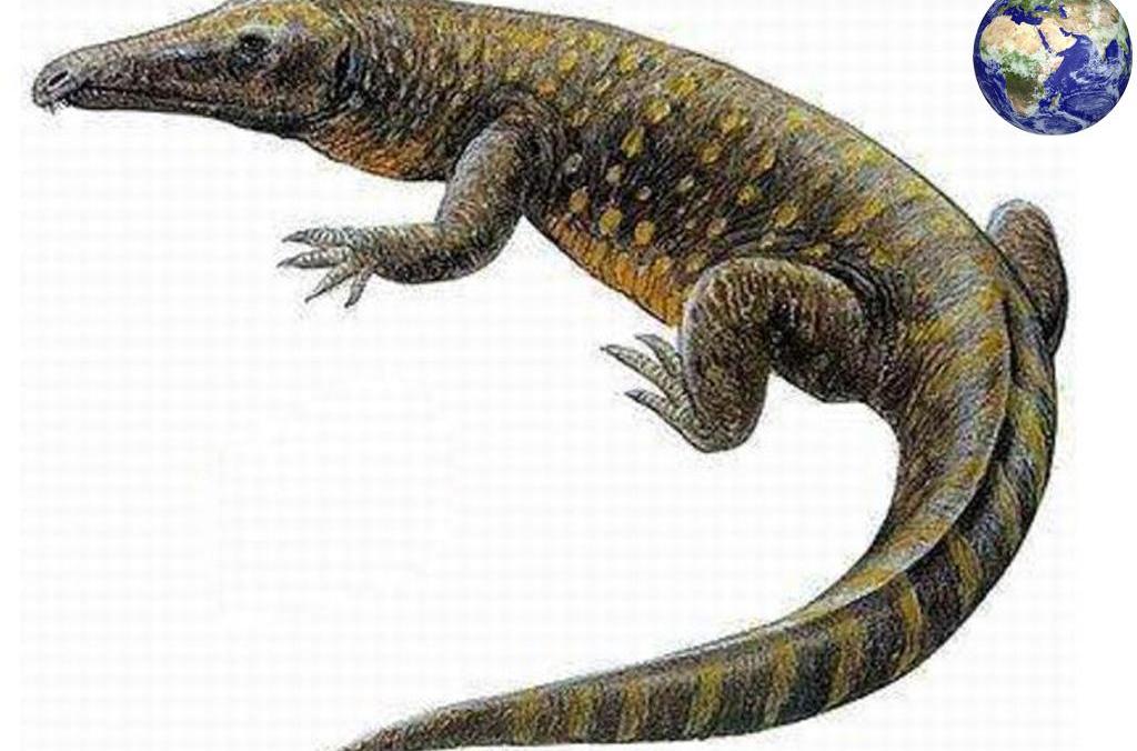 chasnatosaurus
