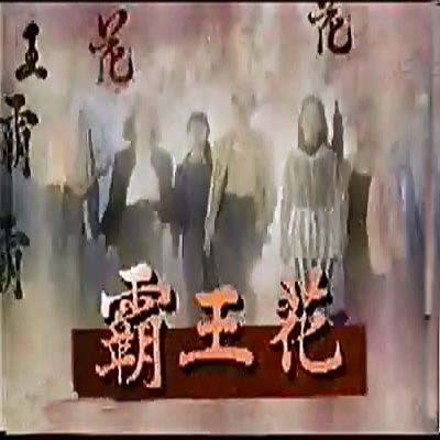  p>台湾电视剧《霸王花》1994年播出,后来又有一些电影作品出现,特别