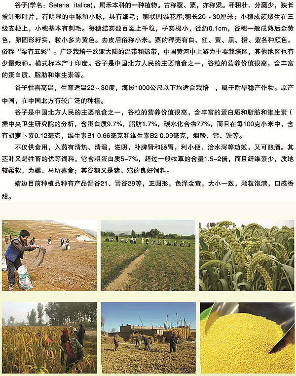 600_762竖版 竖屏