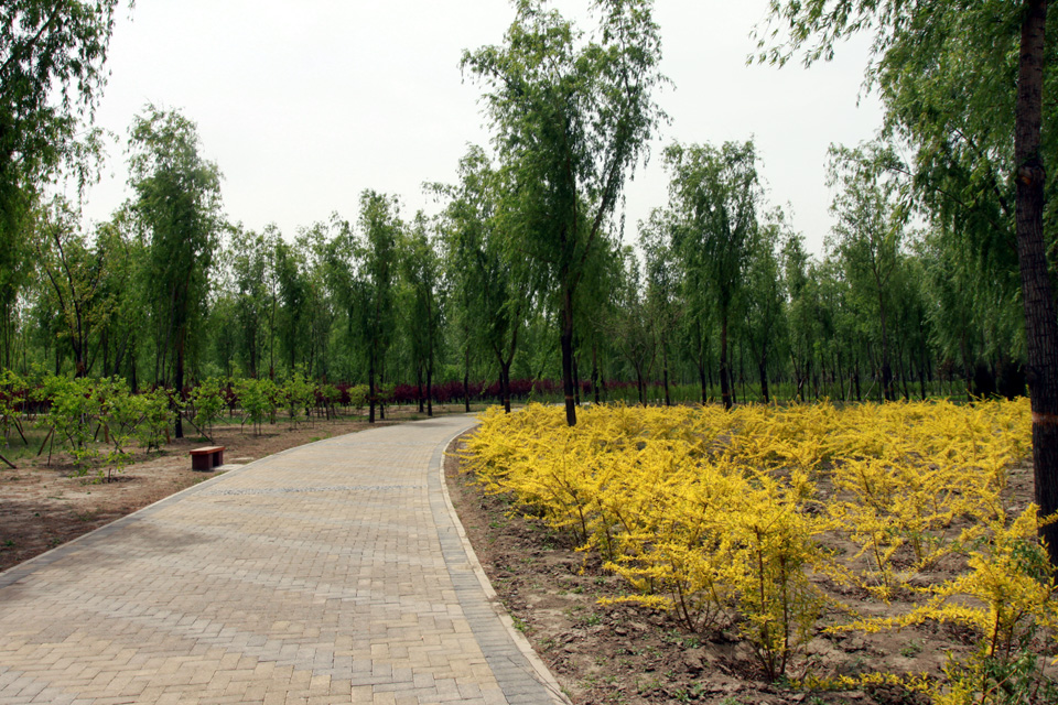  p>太平郊野公园,占地1085亩,位于规划中轴路延长线以东,兰太路南侧, 