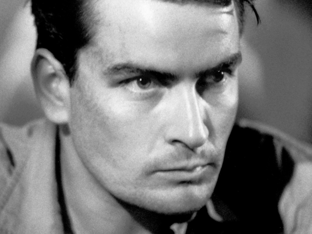  p>查理·辛(charlie sheen),1965年9月3日出生于纽约,原名卡洛斯