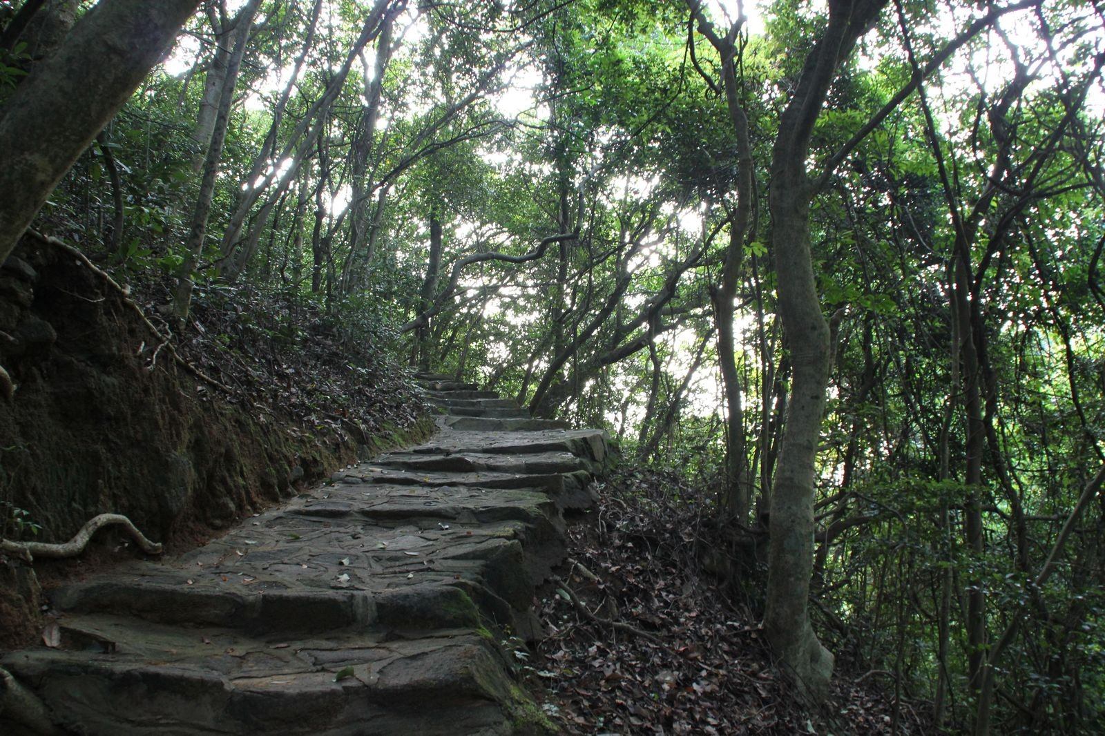 data-id="gnwx052hky">横岗 a target="_blank" href="/item/园山风景