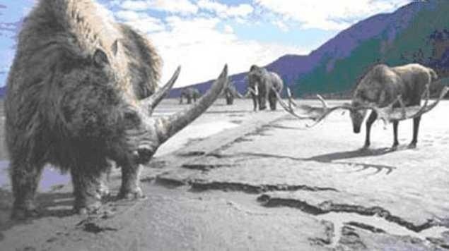  p>第四纪灭绝事件或称 a target="_blank" href="/item/冰河时期