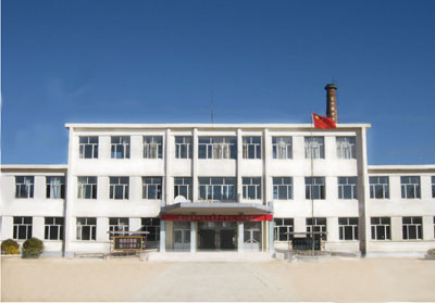 龙兴镇中学
