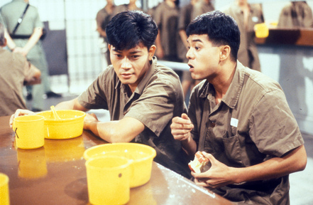 data-id="go08z943h2">《命运迷宫》是由tvb1991年出品的15集时装电视