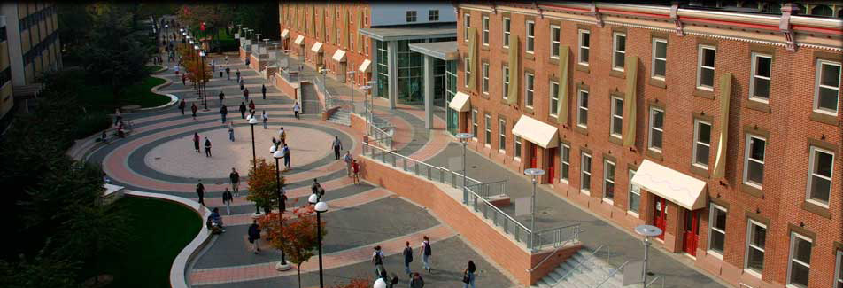 天普大学