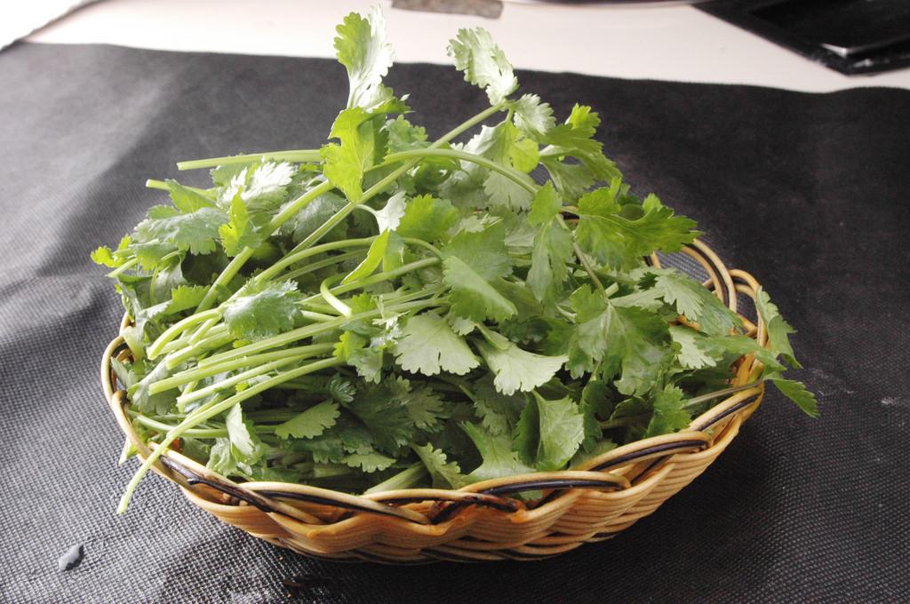  p data-id="gncib07rgb">香菜,学名 a target="_blank" href="/item