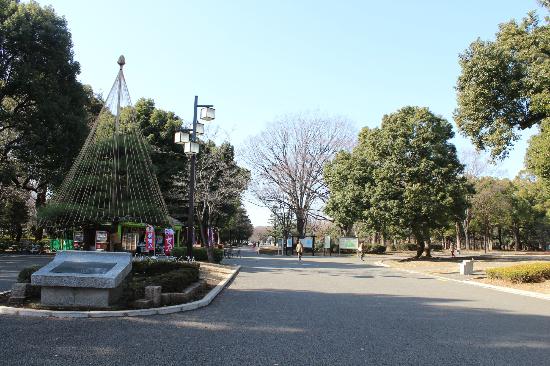 东京代代木公园