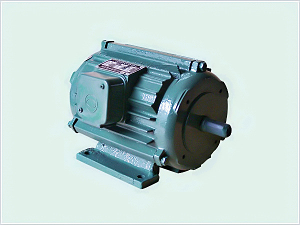 稀土永磁同步电动机