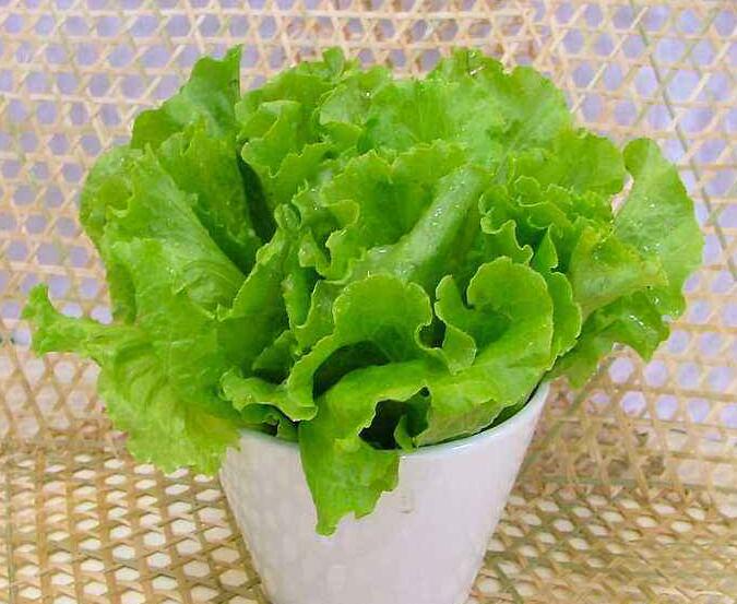  p data-id="gnwls8qdv4">奶油生菜是莴苣的一个变种,味甘甜微苦,颜色