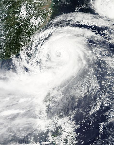 data-lemmaid="12788314">2005年太平洋台风季 /a>第17个被命名的台风