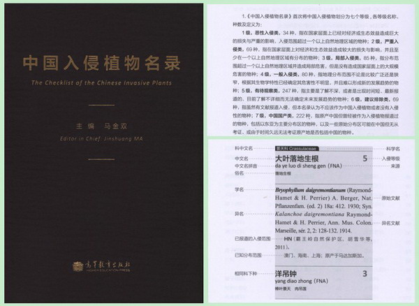 中国入侵植物名录