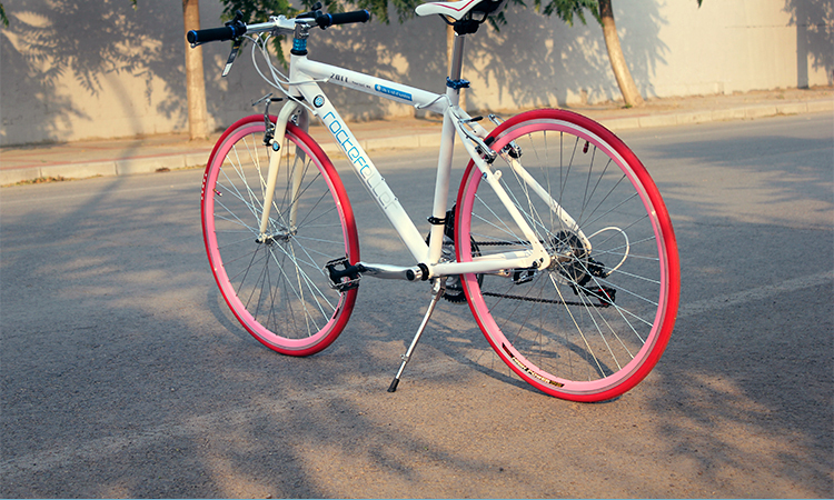  p>洛克菲勒(rockefeller)自行车,是欧洲知名品牌之一,盛行于欧洲