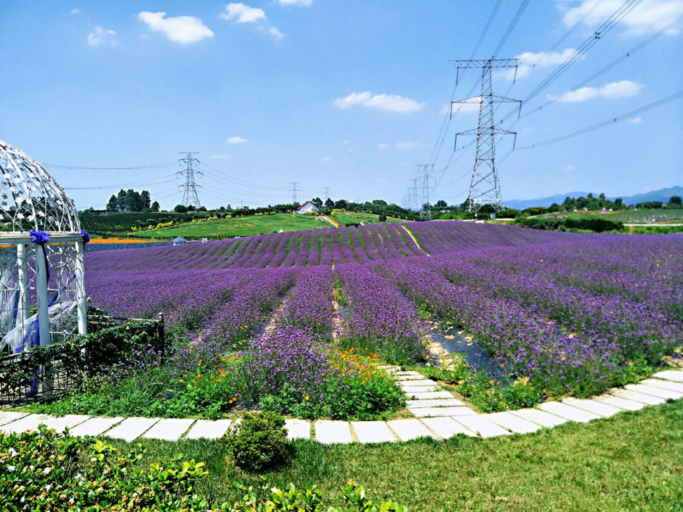  p data-id="gnapuiq0t9">紫颐·香薰山谷以成都市 a target="_blank"