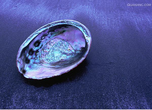  p>鲍鱼壳,是珍贵的药材, a href="#" data-lemmaid="5298802">洗净 