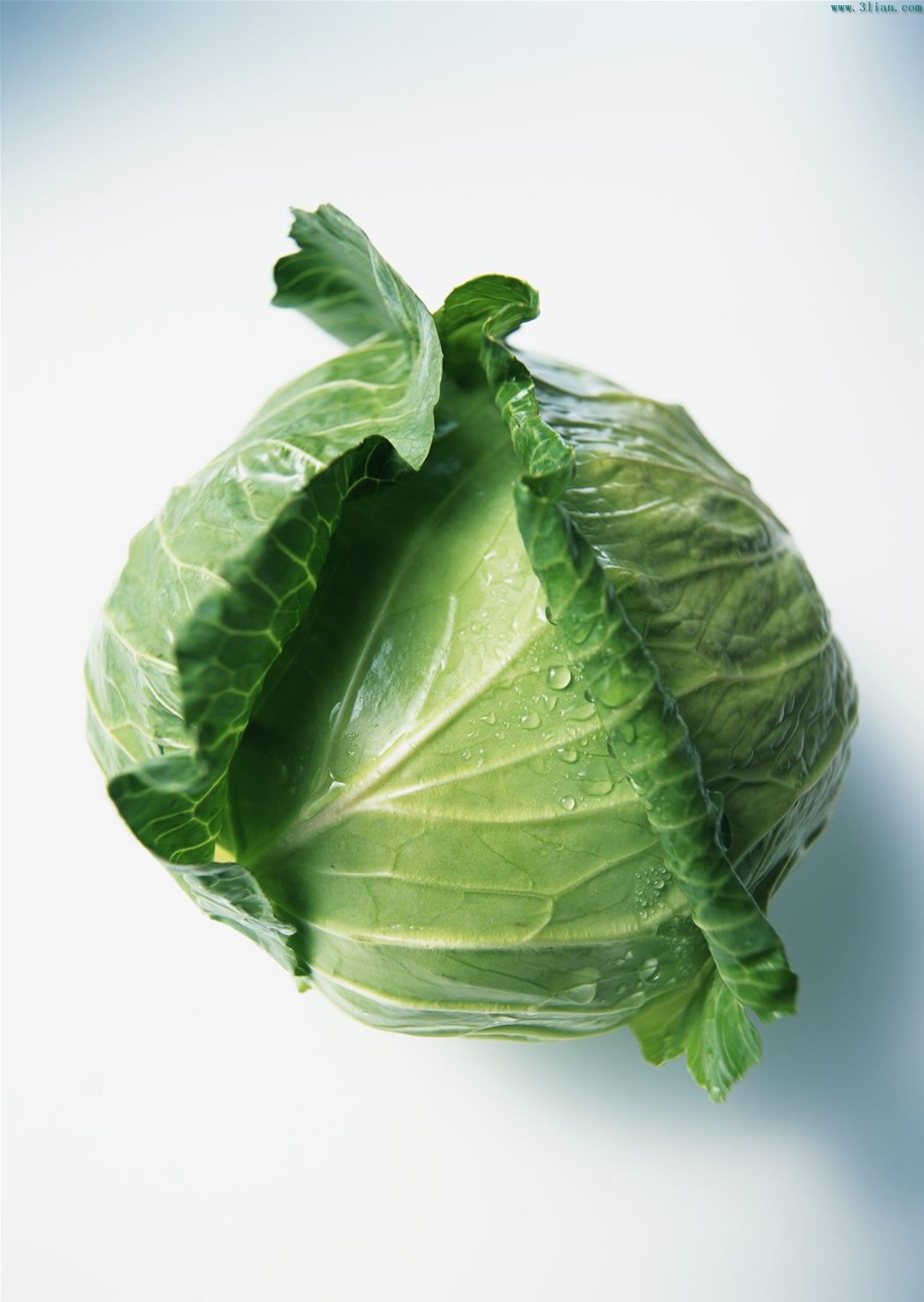  p>结球甘蓝(brassica oleracea l.var.capitata l.