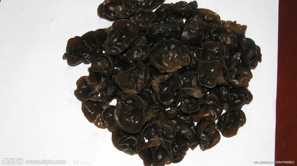  p>木耳,又叫云耳,桑耳,是我国重要的食用菌,有广泛的自然分布和人工