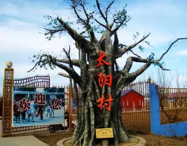 太阳村