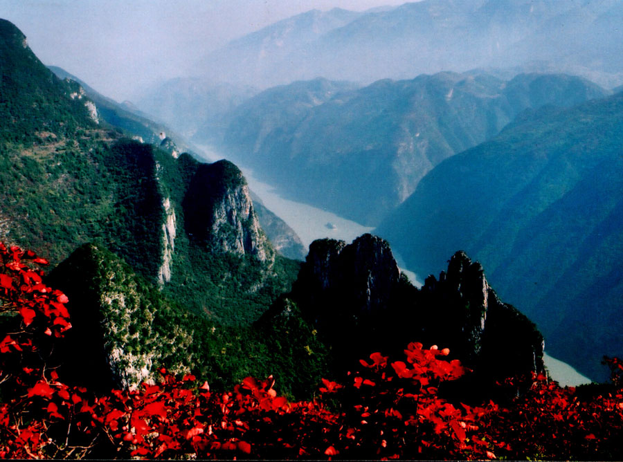 巫山梨子坪森林公园