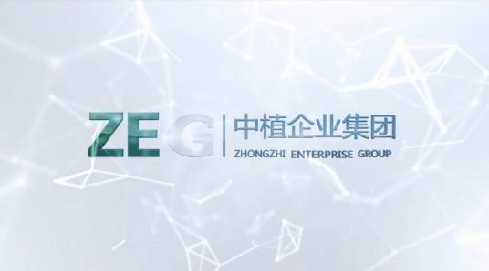 中植企业集团有限公司_百度百科
