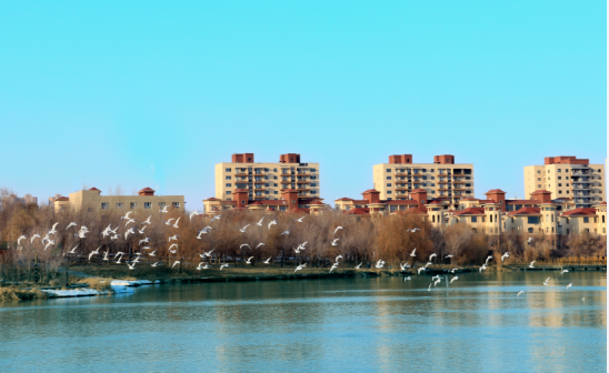 博乐市（中国新疆维吾尔自治区博尔塔拉蒙古自治州辖县级市、首府）_百度百科