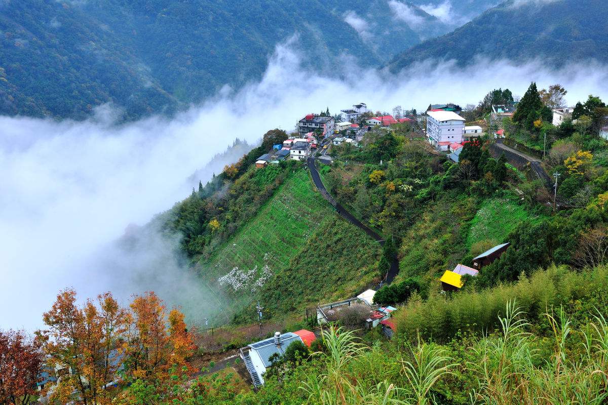 data-lemmaid="15626925">四川省凉山彝族自治州金阳县,地处<a