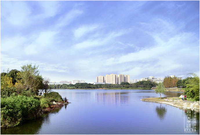  p>四川大学江安校区为川大的本科 a href="#" data-lemmaid="2066788