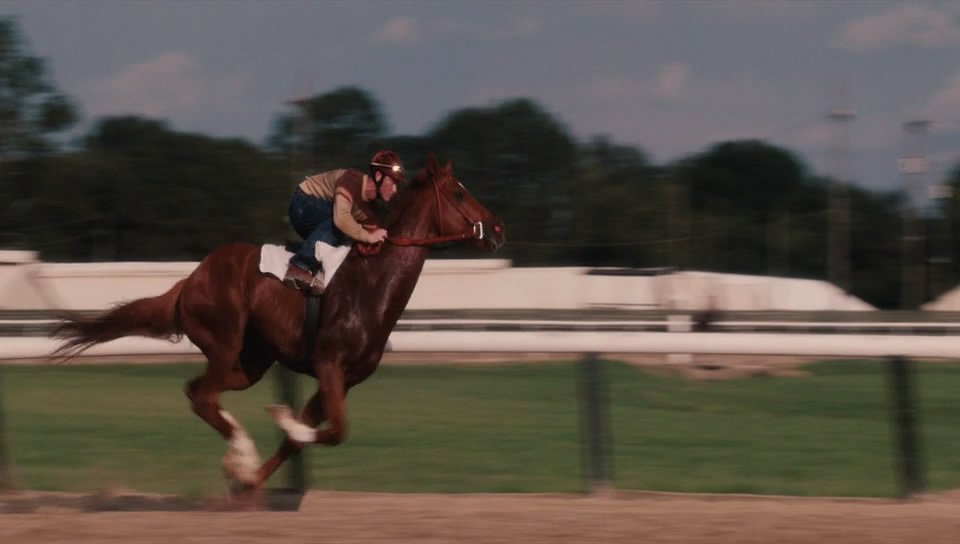  p>《一代骄马》是由华特·迪士尼电影工作室出品的剧情电影,于2010年
