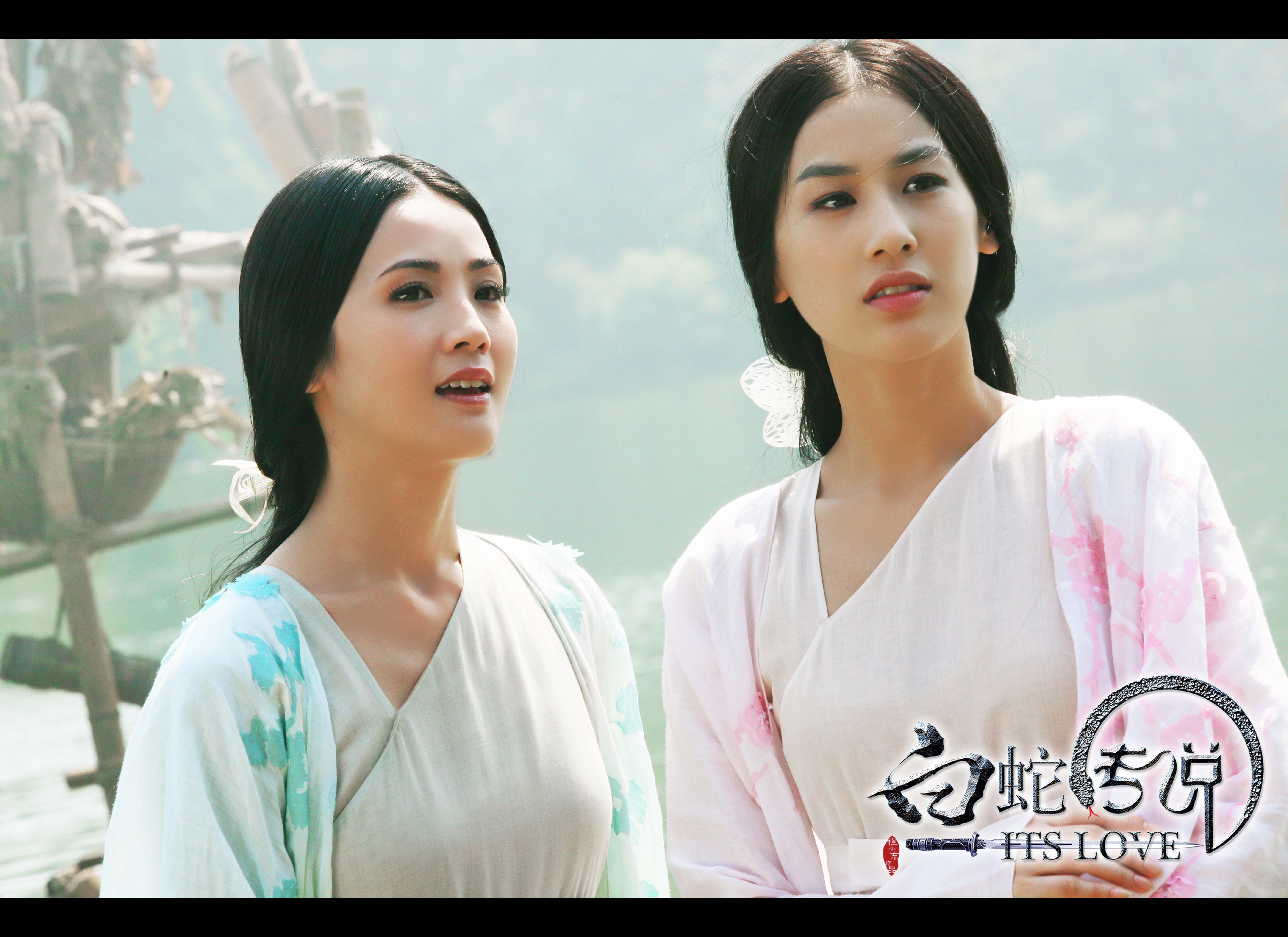  p>《白蛇传说》是中国巨力影视于2011年出品的魔幻爱情动作电影.