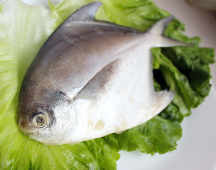  p>白鲳属 a href="#" data-lemmaid="7643172">白鲳科 /a>,为 a href