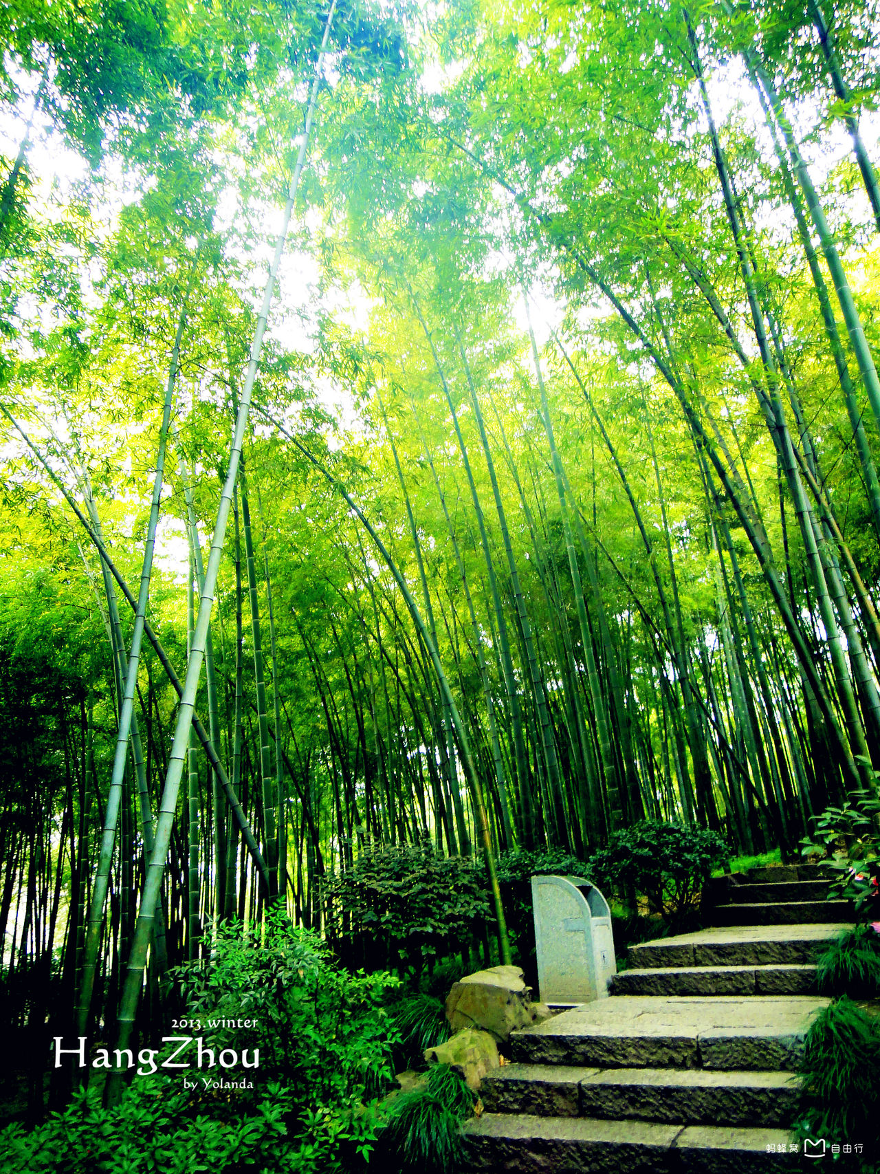 杭州黄龙洞