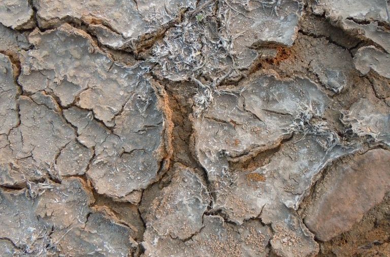  p>土壤盐渍化(soil salinization)是指土壤底层或地下水的 a href="