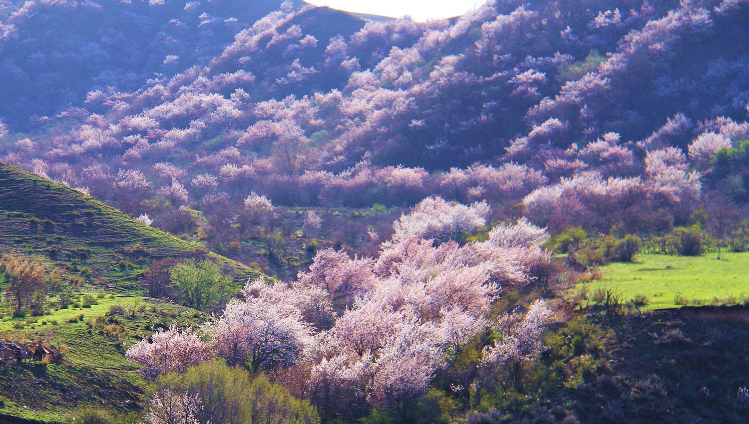  p data-id="go00aa7180">大西沟旅游风景区位于十堰市 a target="