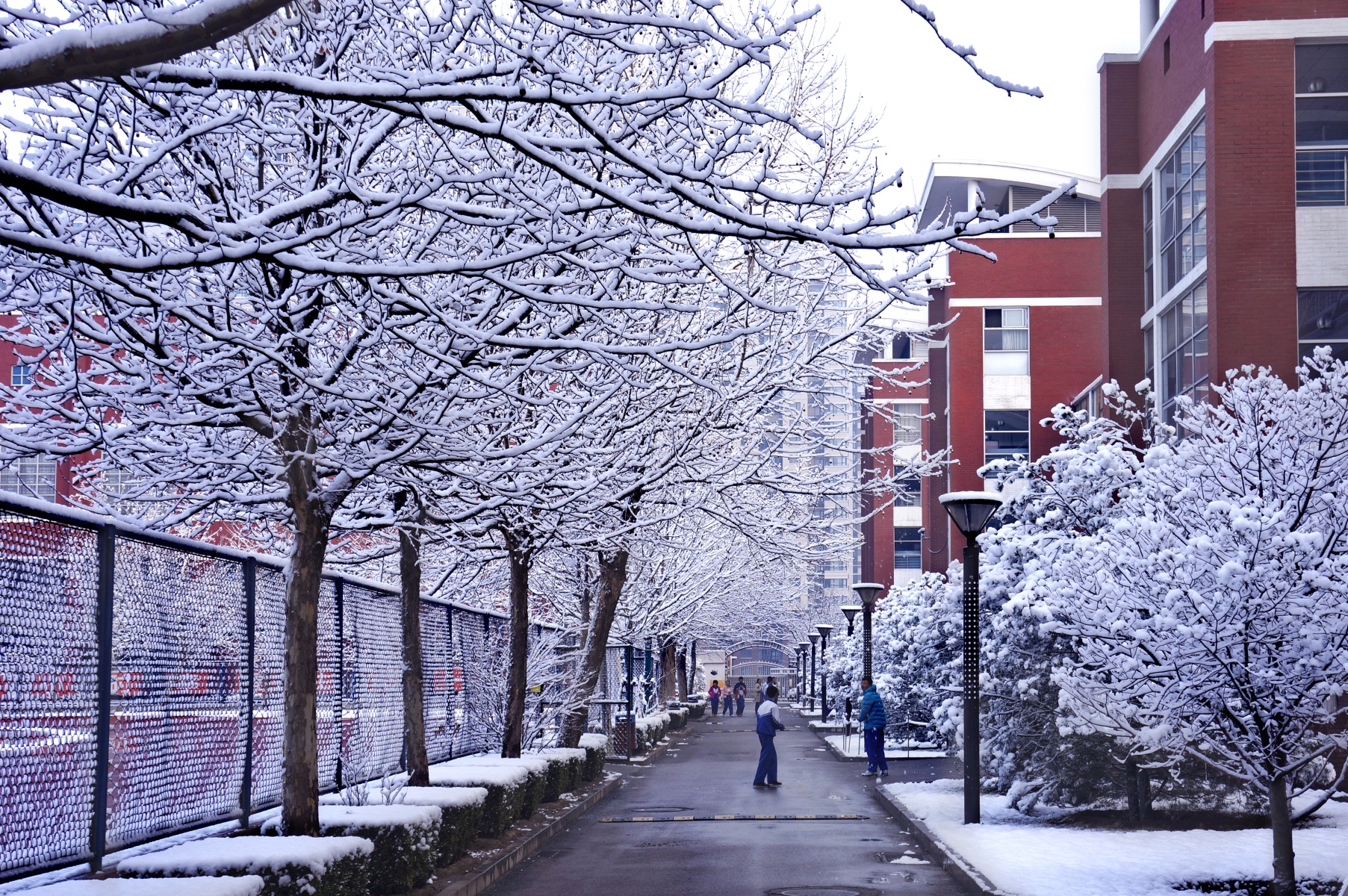  p>北京第十二中学,是 a href="#" data-lemmaid="5105030">丰台区 /a